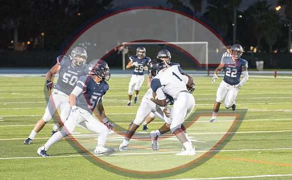 Playoff vs Palmetto-133