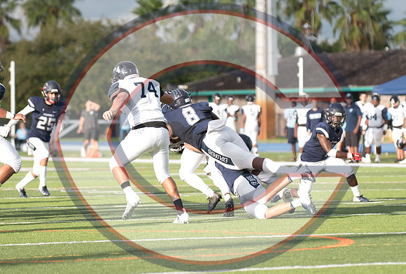 Playoff vs Palmetto-45