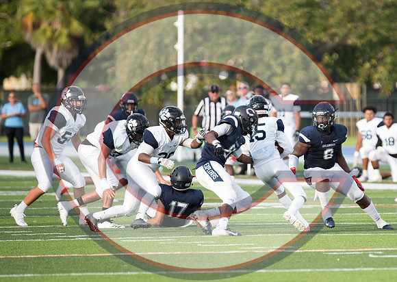 Playoff vs Palmetto-66