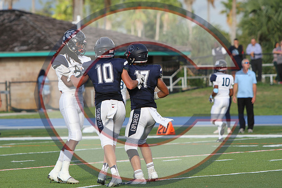 PO 18 LL Palmetto -115
