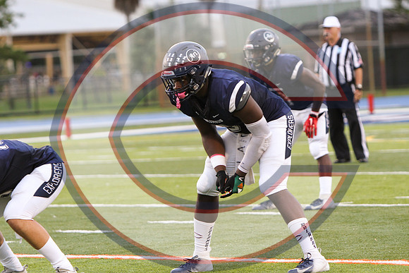 PO 18 LL Palmetto -201