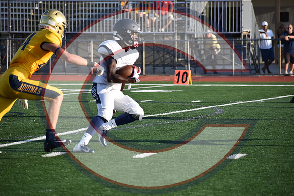 Aquinas-JV- JT (90)