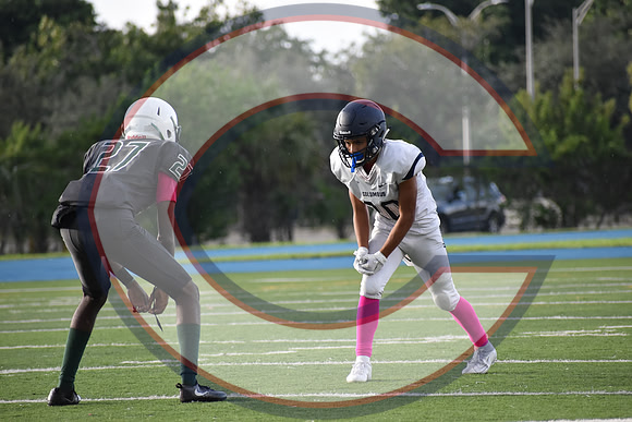 Cenral-JV-JT (8)