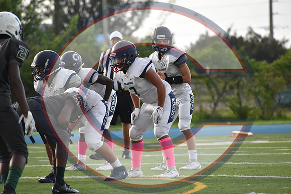Cenral-JV-JT (13)