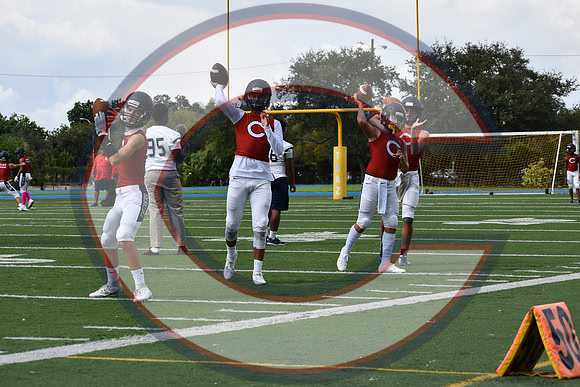 Cenral-JV-JT (45)