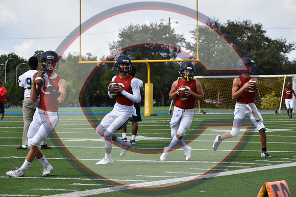 Cenral-JV-JT (46)