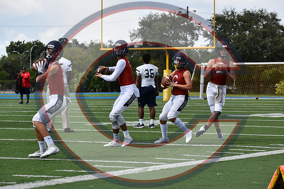 Cenral-JV-JT (48)