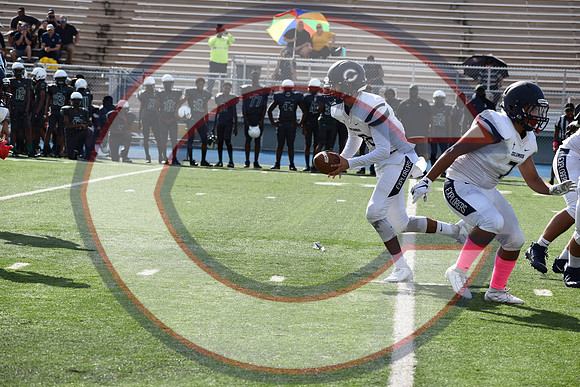 Cenral-JV-JT (87)