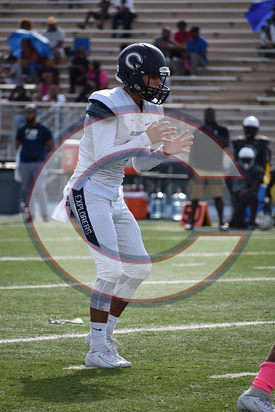 Cenral-JV-JT (126)