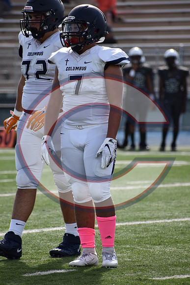 Cenral-JV-JT (128)