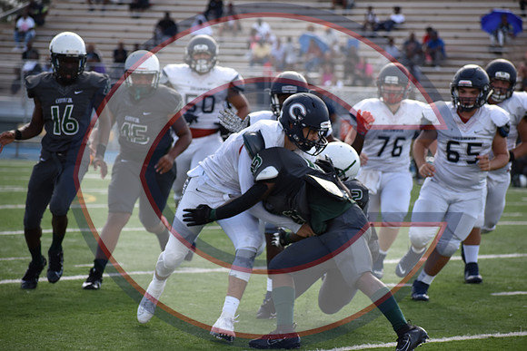 Cenral-JV-JT (133)