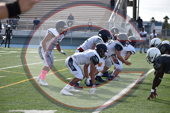Cenral-JV-JT (141)