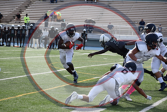 Cenral-JV-JT (142)