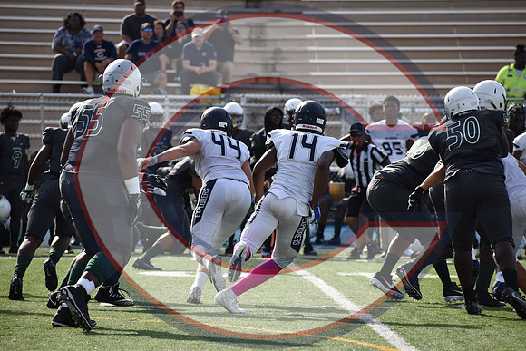 Cenral-JV-JT (169)