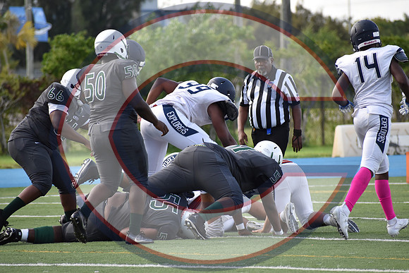 Cenral-JV-JT (181)