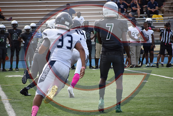 Cenral-JV-JT (206)