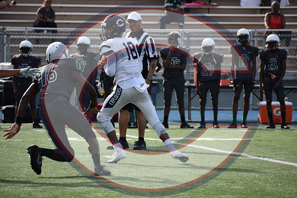Cenral-JV-JT (223)