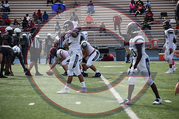 Cenral-JV-JT (227)