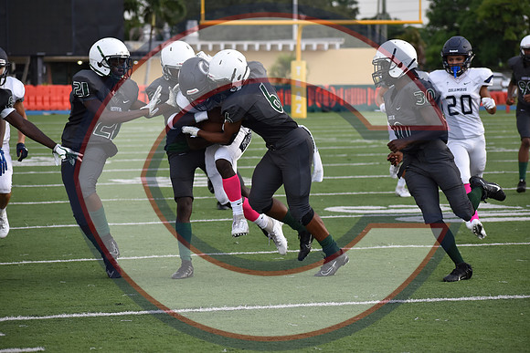 Cenral-JV-JT (246)