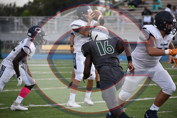 Cenral-JV-JT (249)
