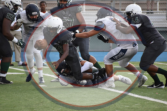 Cenral-JV-JT (272)