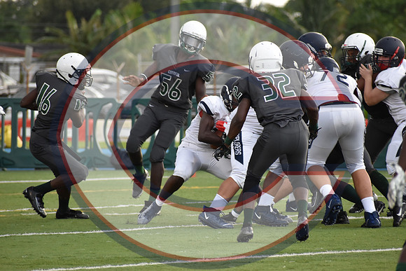 Cenral-JV-JT (278)