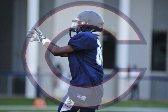 CAROL_CITY-JC-0042