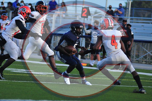 CAROL_CITY-JC-0096