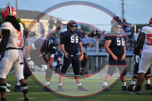 CAROL_CITY-JC-0101