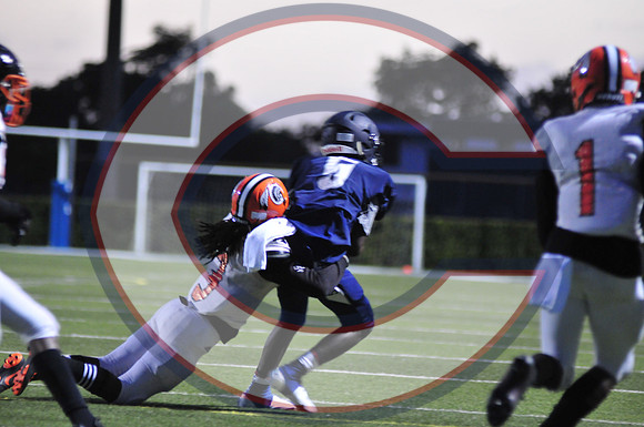 CAROL_CITY-JC-0140