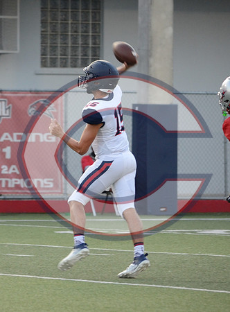 DSC_0367