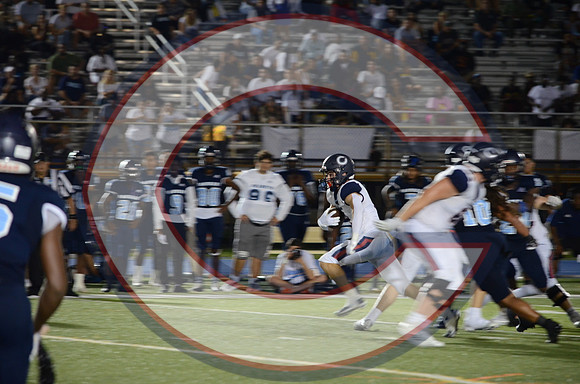 DSC_2175