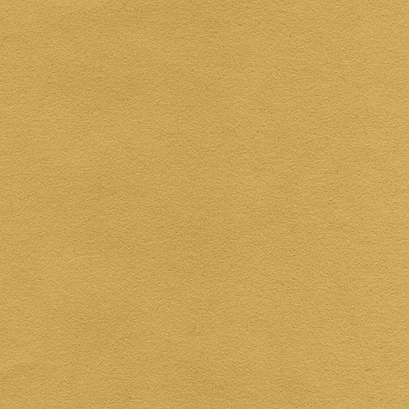 BackDrop056