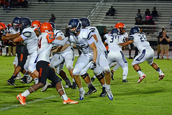 DSC_7324_edited-1