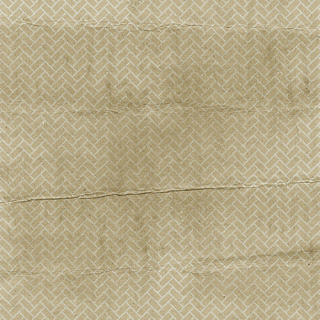 BackDrop045